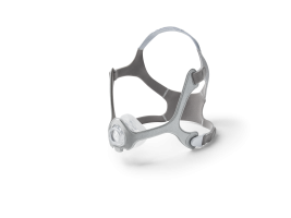 Respironics Wisp Nasal System