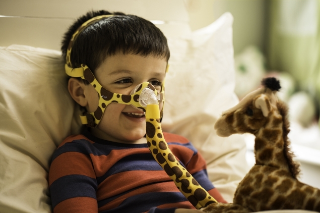 Respironics Wisp Pediatric Nasal Mask System